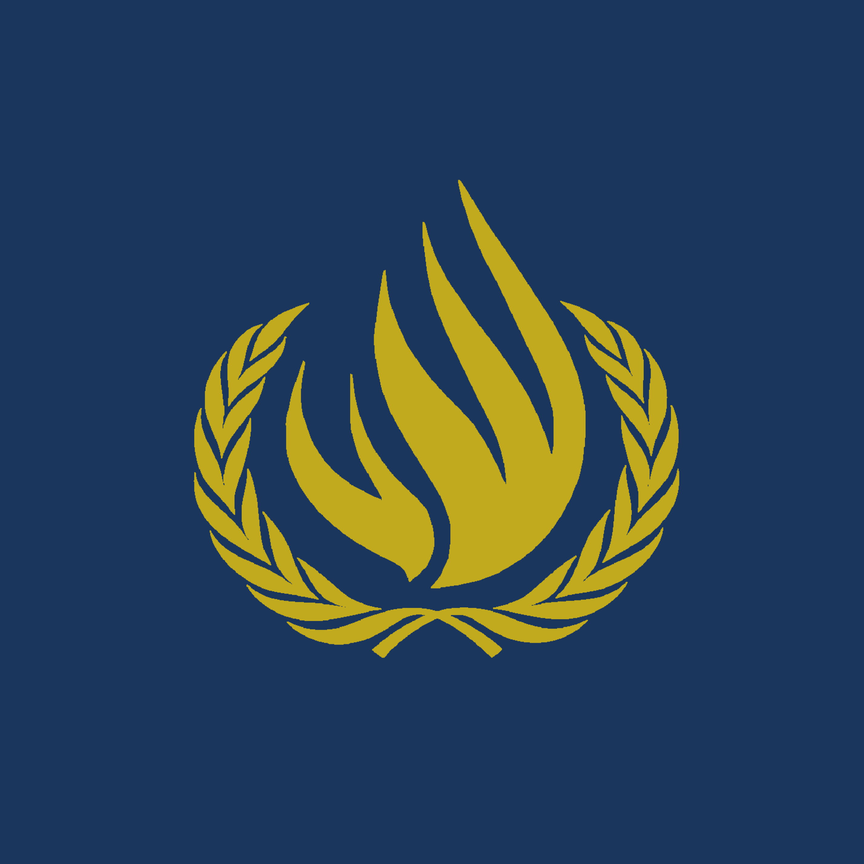 United Nations Human Rights Council