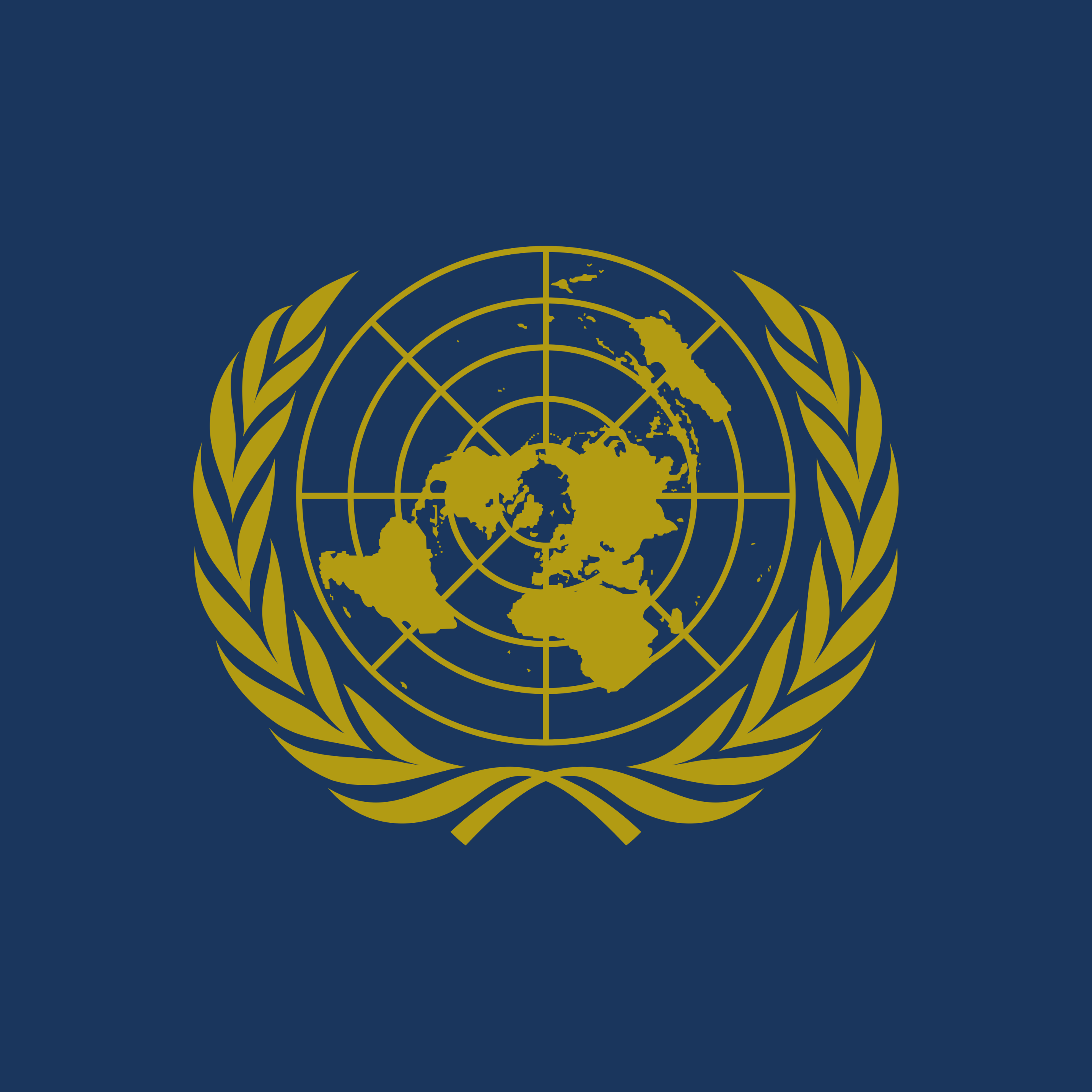 United Nations Security Council